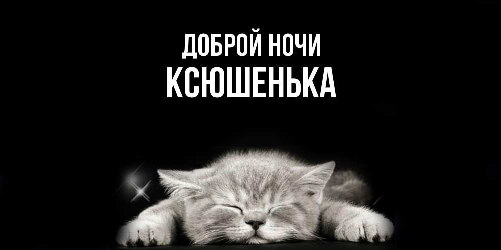 Открытка на каждый день с именем, Ксюшенька Доброй ночи спящий котик Прикольная открытка с пожеланием онлайн скачать бесплатно 
