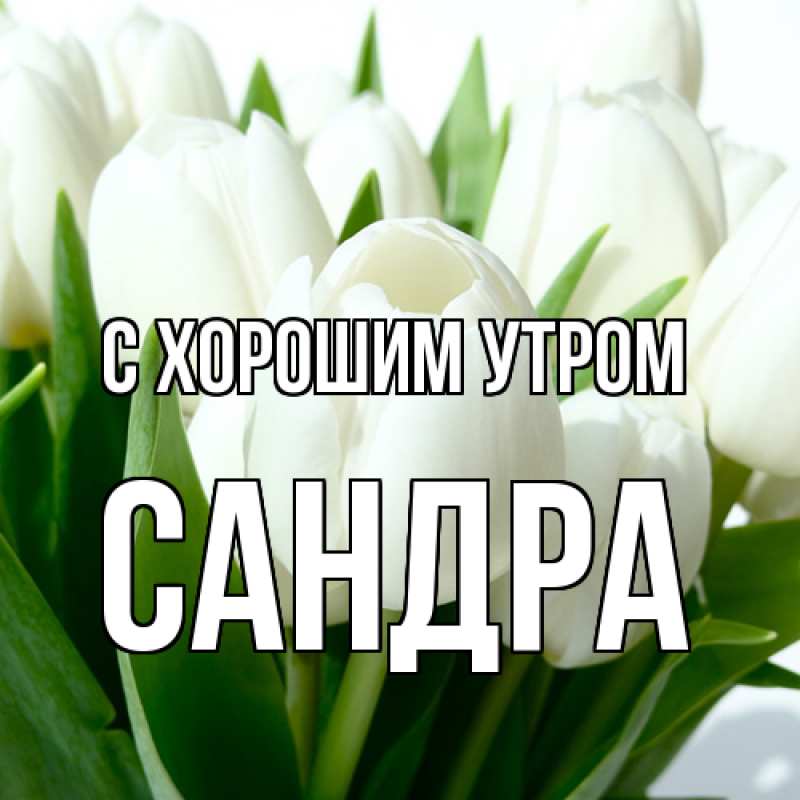 Картинка С хорошим утром, Сандра
