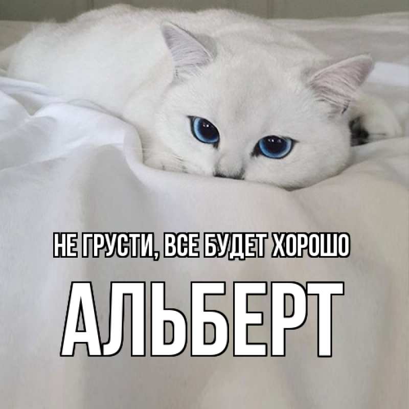 Открытка с именем, Альберт, Не грусти, все будет хорошо