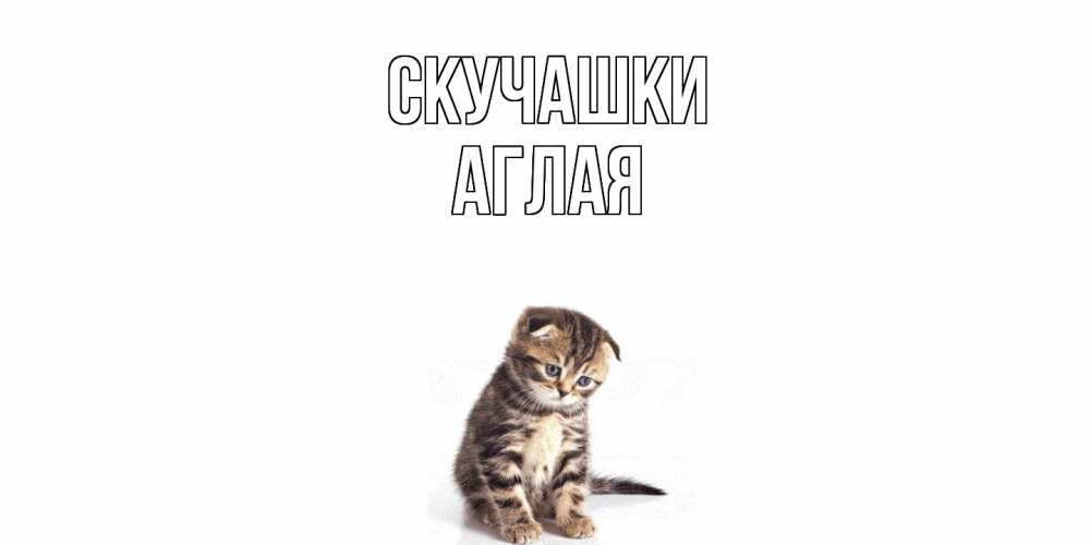 Открытка на каждый день с именем, Аглая Скучашки кот Прикольная открытка с пожеланием онлайн скачать бесплатно 
