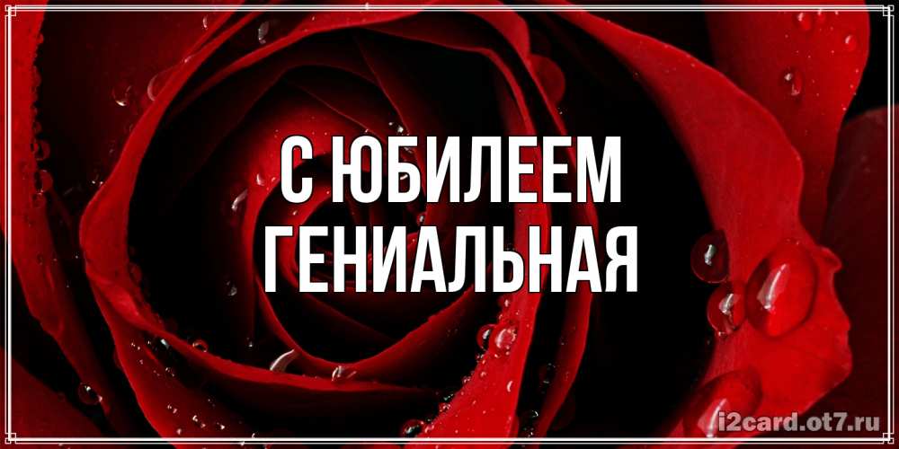 Открытка на каждый день с именем, Гениальная C юбилеем крупная бордовая роза Прикольная открытка с пожеланием онлайн скачать бесплатно 