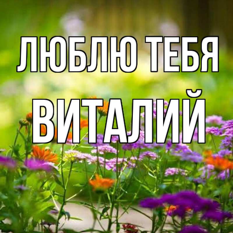 Открытка с именем, Виталий, Люблю тебя