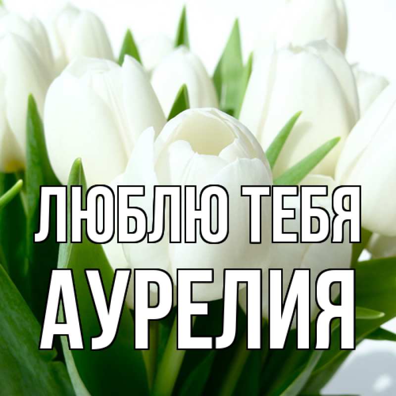 Картинка Люблю тебя, Аурелия