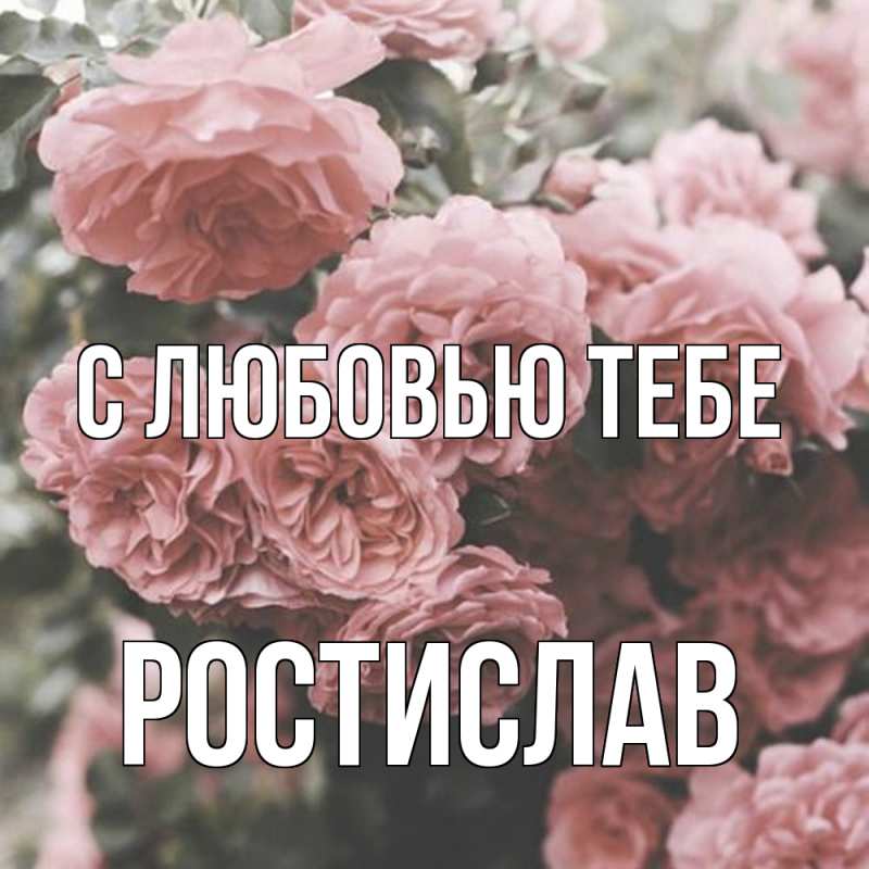 Картинка С любовью тебе, Ростислав