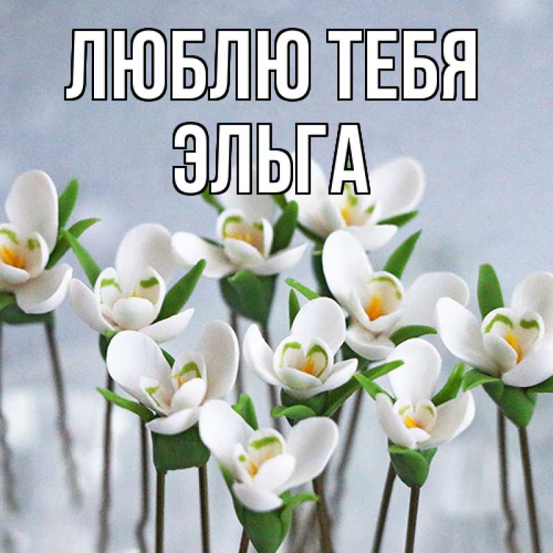 Картинка Люблю тебя, Эльга