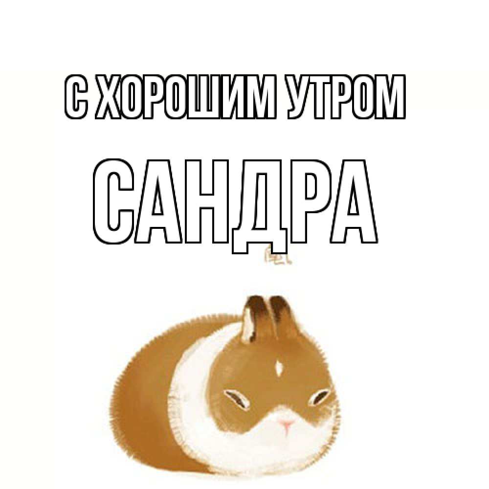 Открытка на каждый день с именем, Сандра С хорошим утром хорошего утречка Прикольная открытка с пожеланием онлайн скачать бесплатно 