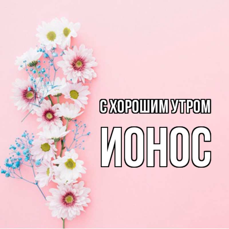 Картинка С хорошим утром, Ионос