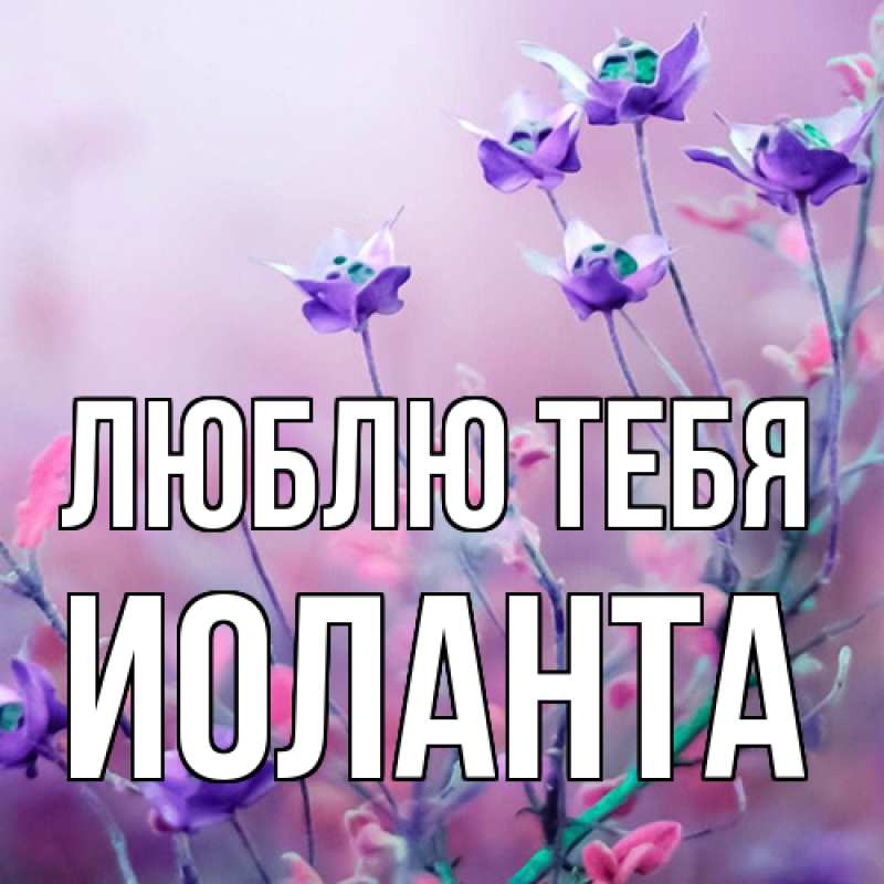 Картинка Люблю тебя, Иоланта