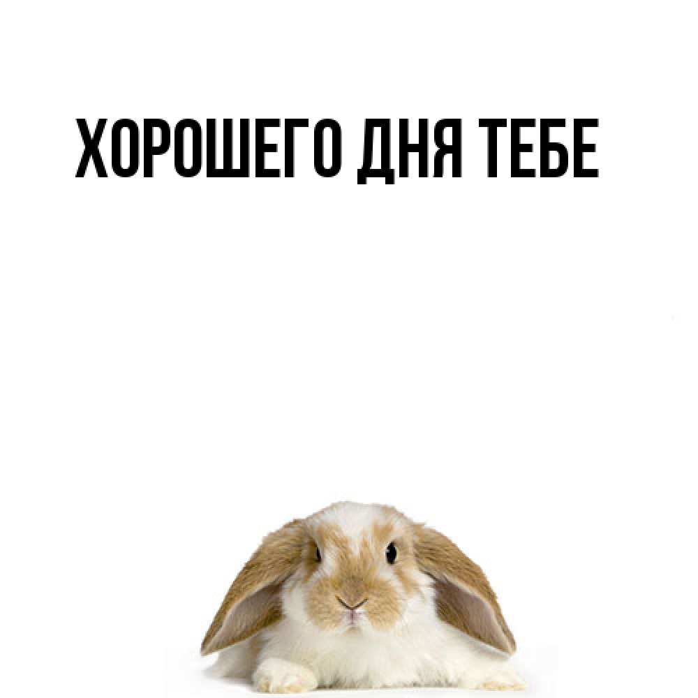 Открытка на каждый день с именем, Томила Я жду тебя подписать своими руками онлайн Прикольная открытка с пожеланием онлайн скачать бесплатно 