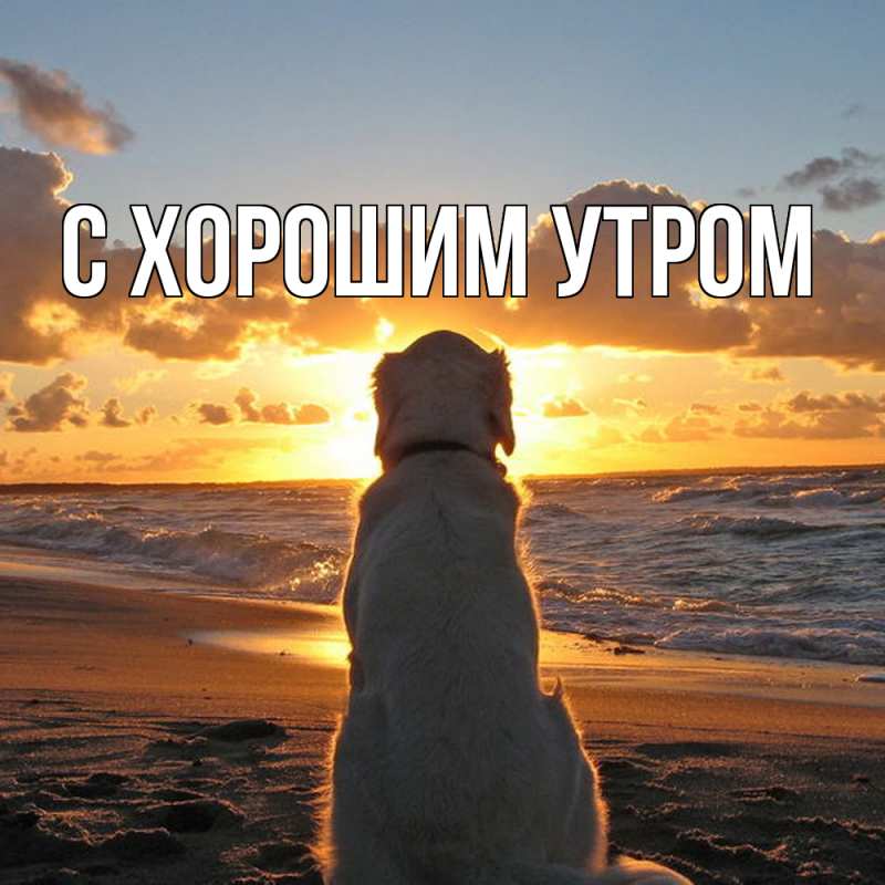 Картинка С хорошим утром, 
