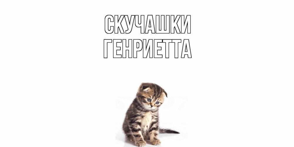 Открытка на каждый день с именем, Генриетта Скучашки кот Прикольная открытка с пожеланием онлайн скачать бесплатно 