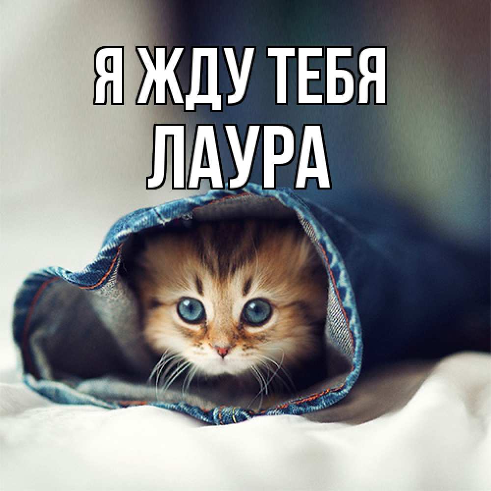 Открытка на каждый день с именем, Лаура Я жду тебя мне без тебя плохо Прикольная открытка с пожеланием онлайн скачать бесплатно 