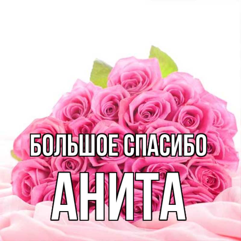 Картинка Большое спасибо, Анита