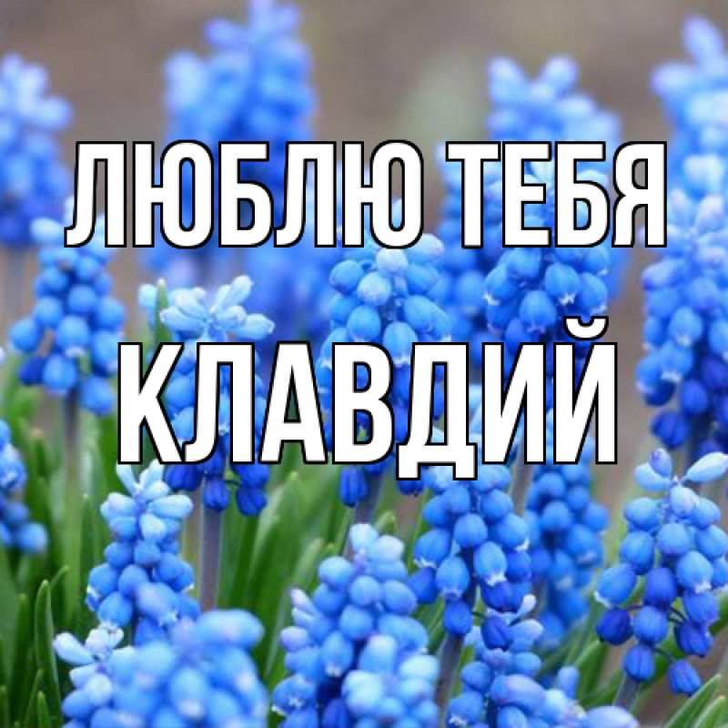 Картинка Люблю тебя, Клавдий