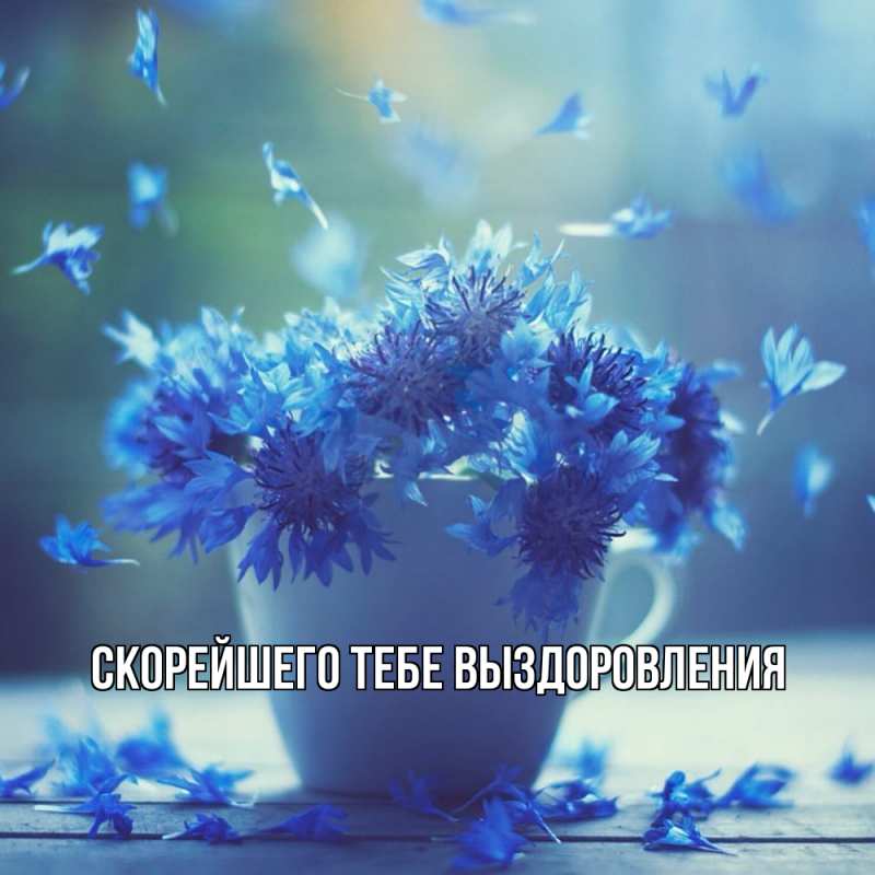 Картинка Скорейшего тебе выздоровления, 