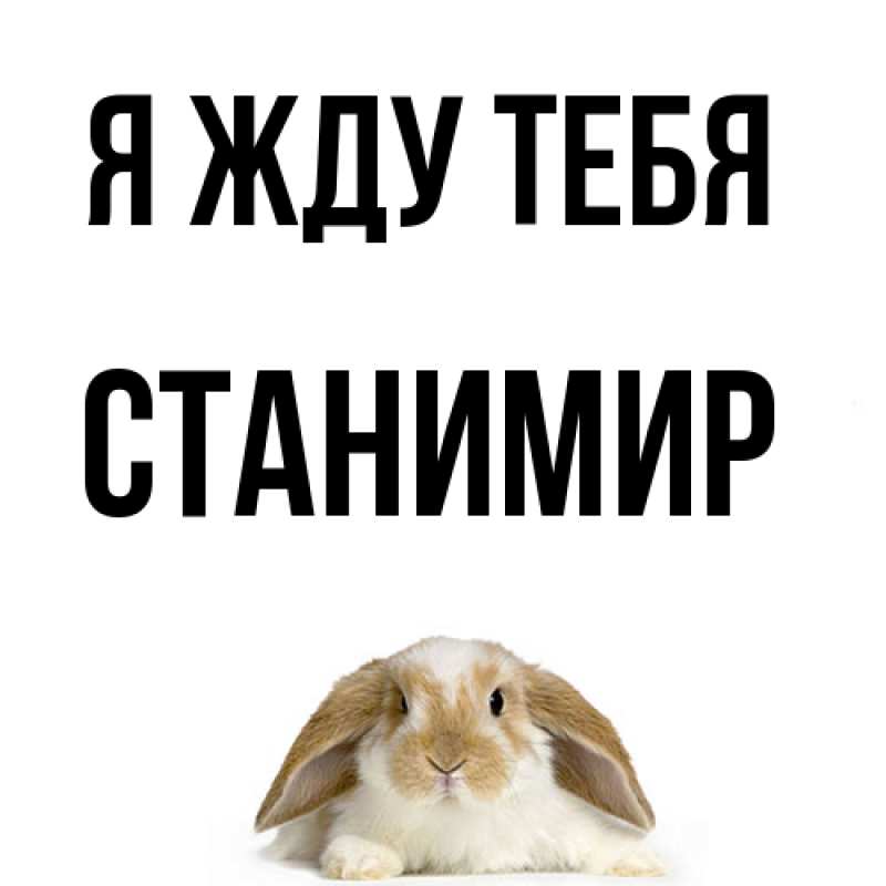 Картинка Я жду тебя, Станимир