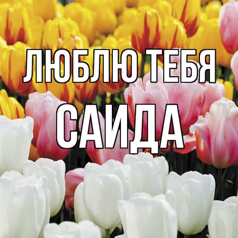Картинка Люблю тебя, Саида