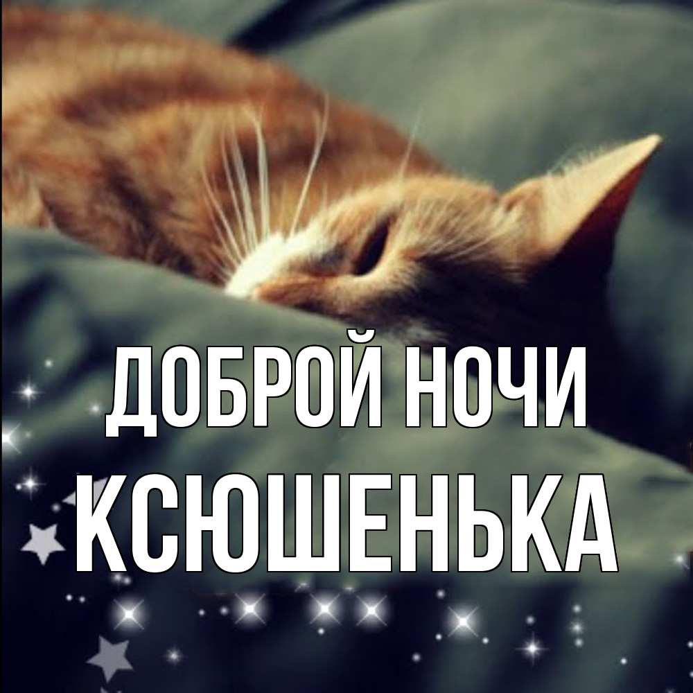 Открытка на каждый день с именем, Ксюшенька Доброй ночи кроватка Прикольная открытка с пожеланием онлайн скачать бесплатно 