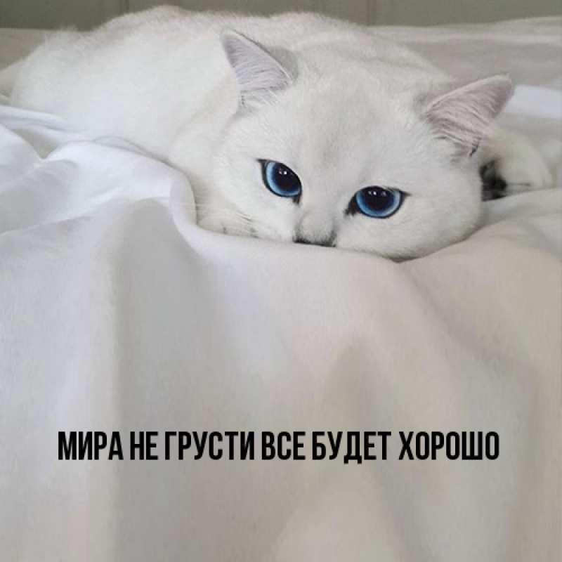 Картинка Не грусти, все будет хорошо, Мира