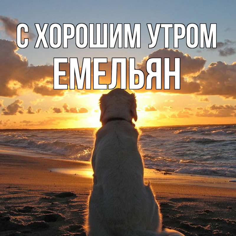 Открытка с именем, Емельян, С хорошим утром