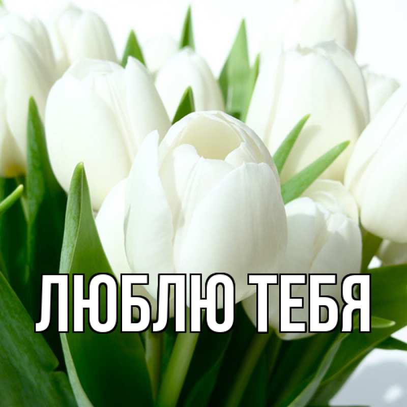 Открытка с подписью, открытка-бесплатно, Люблю тебя