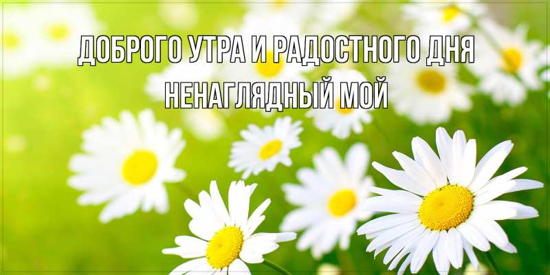 Открытка с именем, Ненаглядный мой, Доброго утра и радостного дня