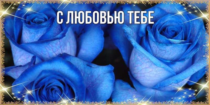 Картинка Люблю тебя, Ева