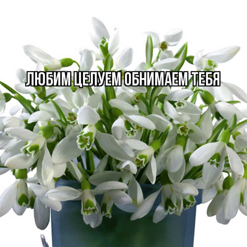 Картинка Люблю тебя, Ненаглядный мой