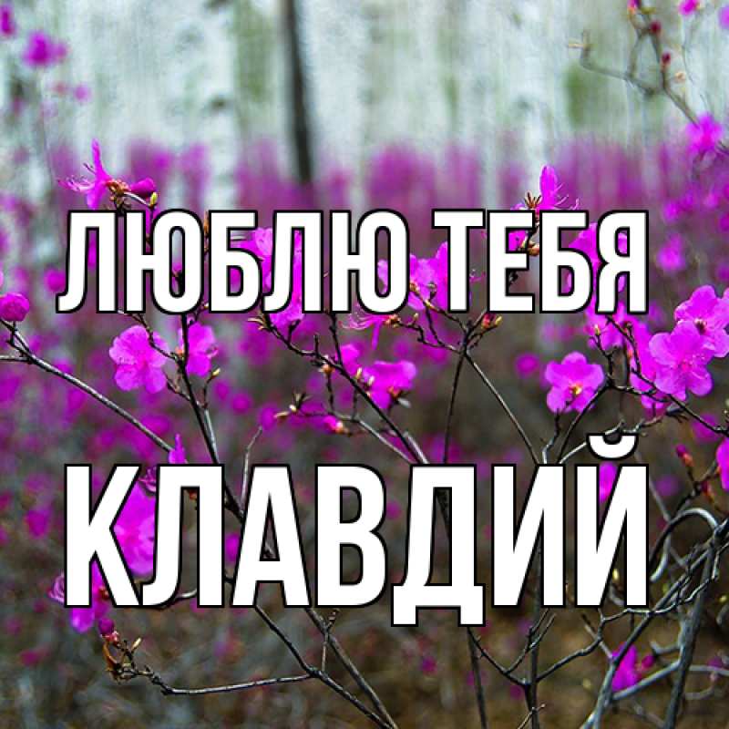 Картинка Люблю тебя, Клавдий