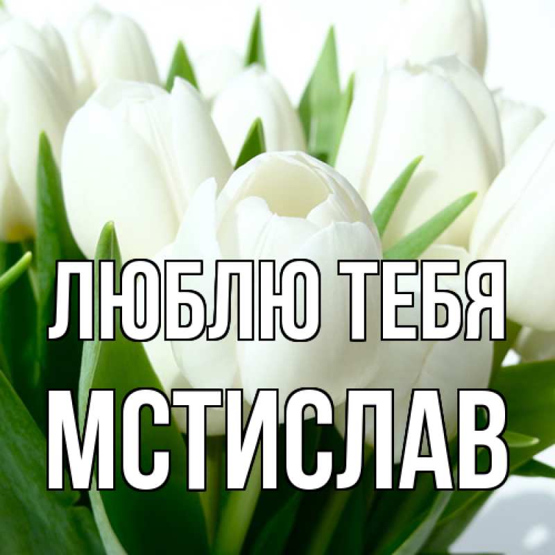 Картинка Люблю тебя, Мстислав