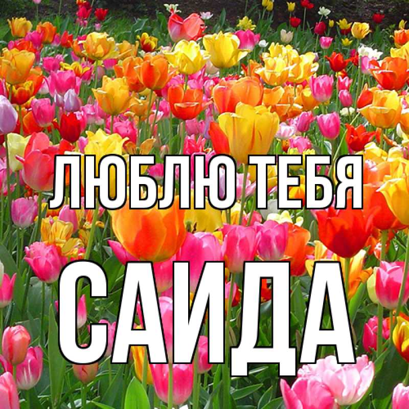 Картинка Люблю тебя, Саида