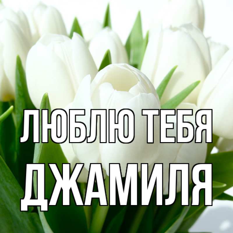 Открытка с именем, Джамиля, Люблю тебя