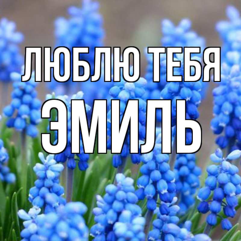 Картинка Люблю тебя, Эмиль