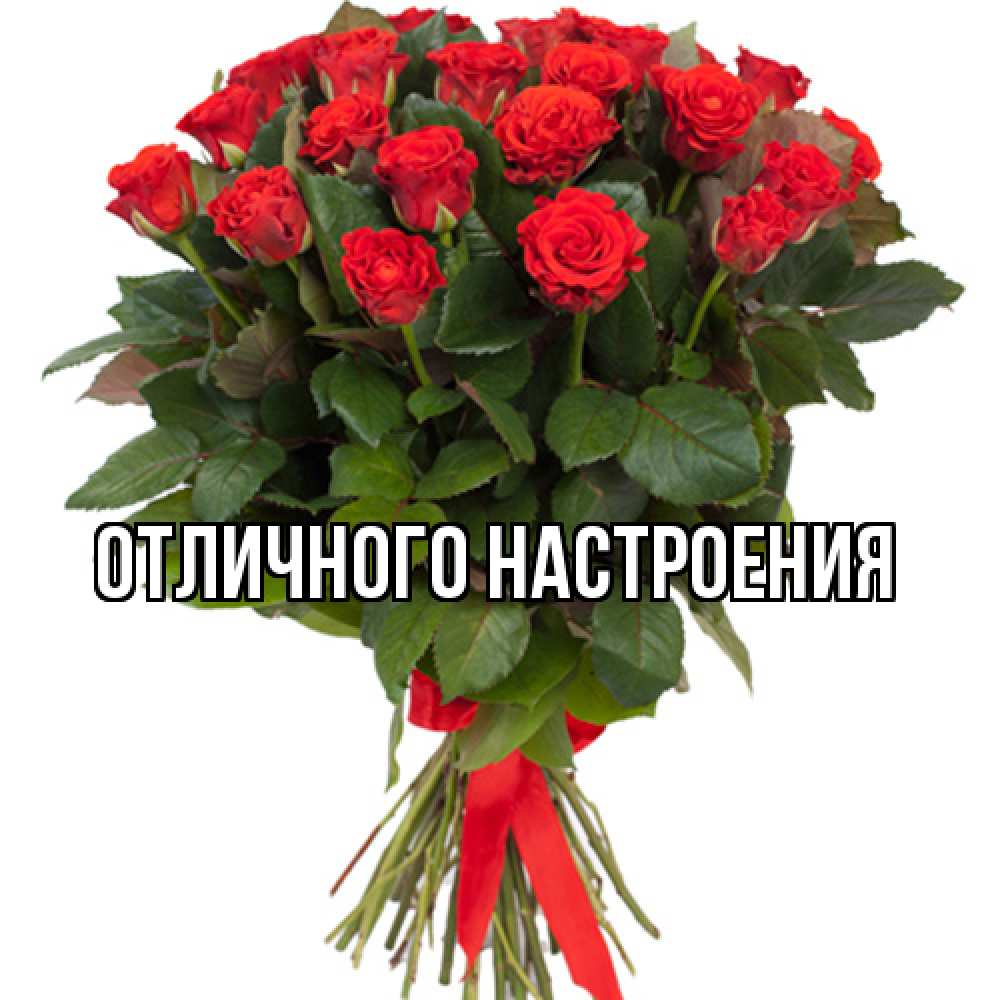 Открытка на каждый день с именем, Радосвета Люблю тебя цветы на 8 марта 1 Прикольная открытка с пожеланием онлайн скачать бесплатно 