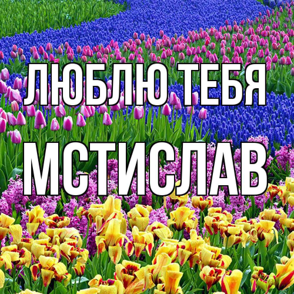 Открытка на каждый день с именем, Мстислав Люблю тебя цветы Прикольная открытка с пожеланием онлайн скачать бесплатно 