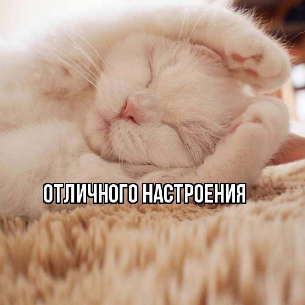 Открытка на каждый день с именем, Вольдемар Я жду тебя для любимой девушки милота Прикольная открытка с пожеланием онлайн скачать бесплатно 