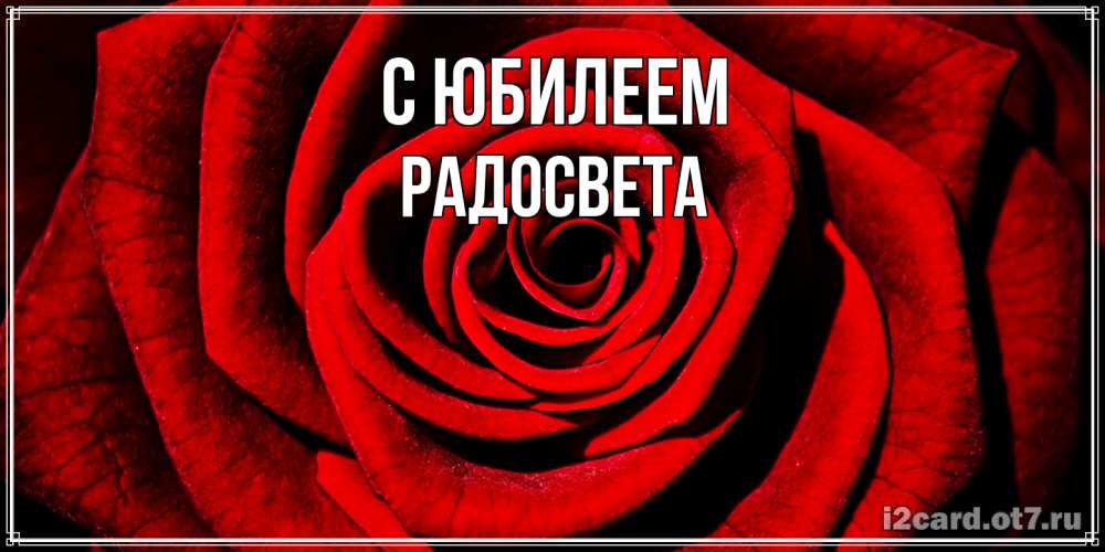 Открытка на каждый день с именем, Радосвета C юбилеем алая роза Прикольная открытка с пожеланием онлайн скачать бесплатно 