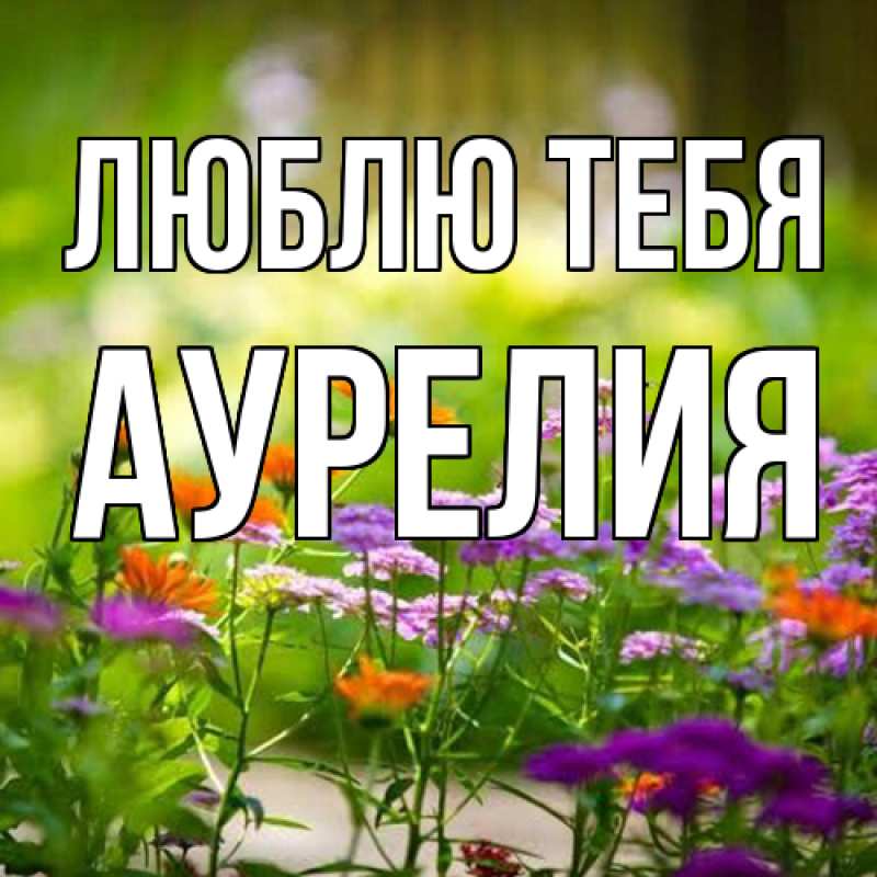 Картинка Люблю тебя, Аурелия