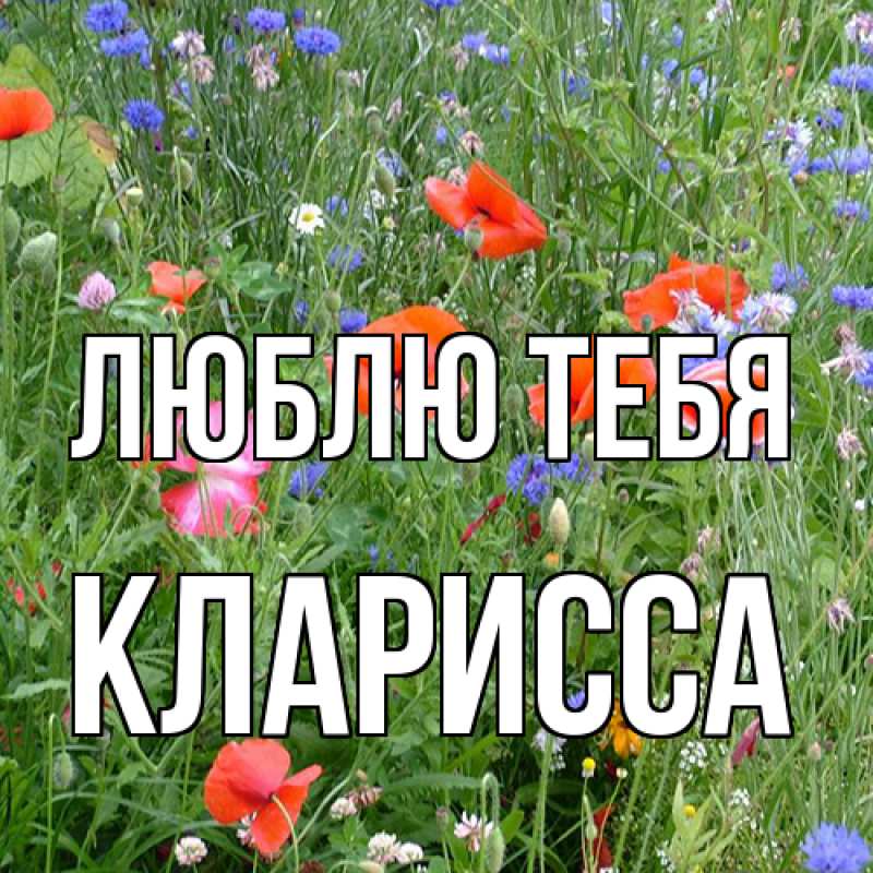 Картинка Люблю тебя, Кларисса