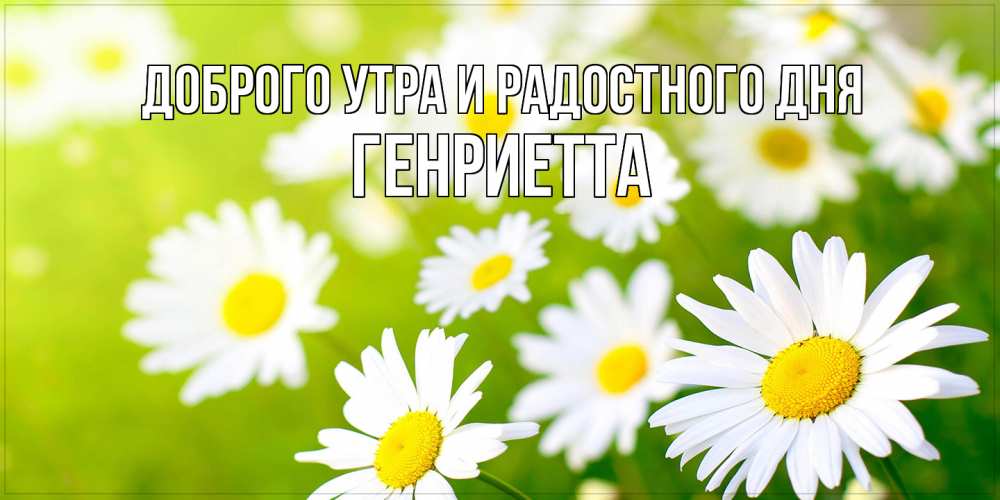 Открытка на каждый день с именем, Генриетта Доброго утра и радостного дня открытка с ромашками на зеленом фоне Прикольная открытка с пожеланием онлайн скачать бесплатно 