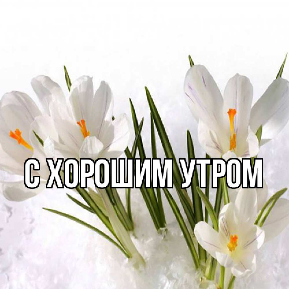 Открытка на каждый день с именем, Исай Люблю тебя под снегом Прикольная открытка с пожеланием онлайн скачать бесплатно 