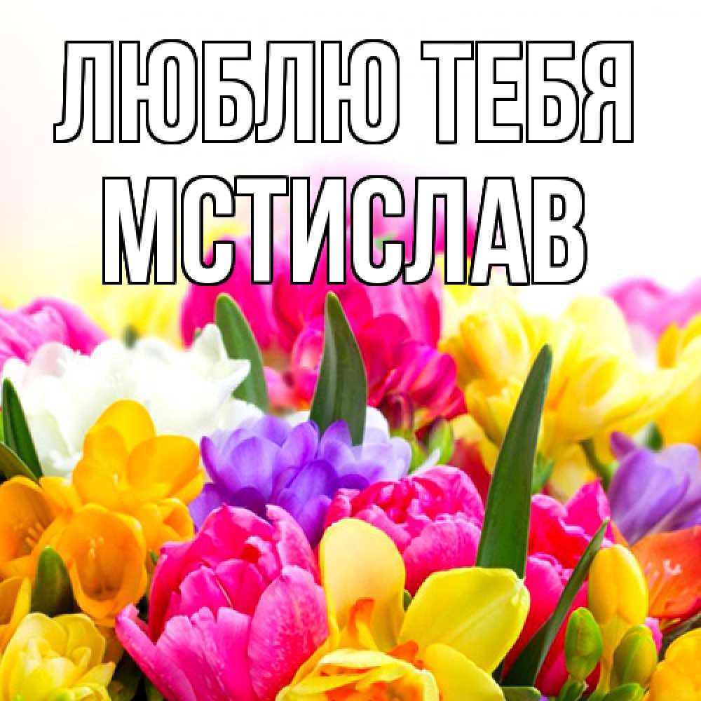 Открытка на каждый день с именем, Мстислав Люблю тебя тюльпаны Прикольная открытка с пожеланием онлайн скачать бесплатно 