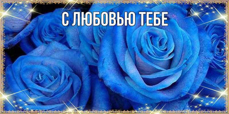 Картинка Люблю тебя, Ева