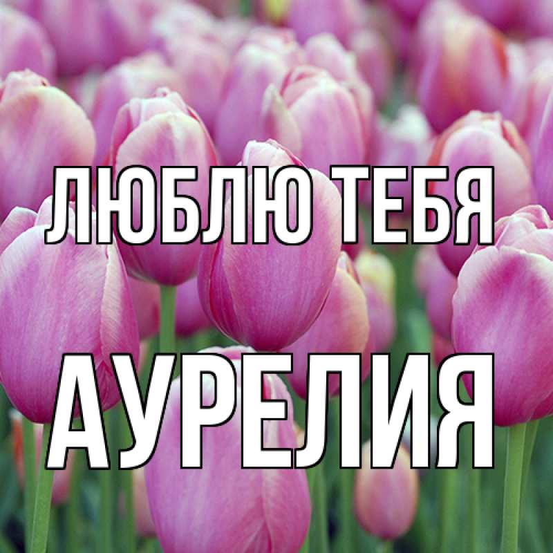 Картинка Люблю тебя, Аурелия