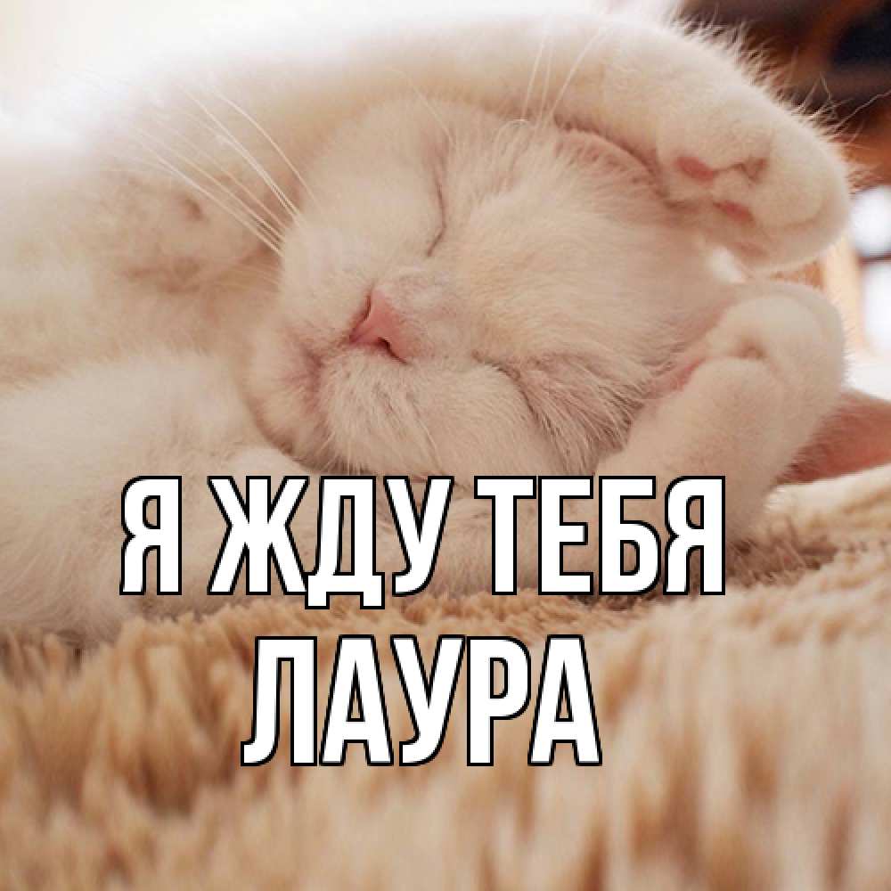 Открытка на каждый день с именем, Лаура Я жду тебя для любимой девушки милота Прикольная открытка с пожеланием онлайн скачать бесплатно 