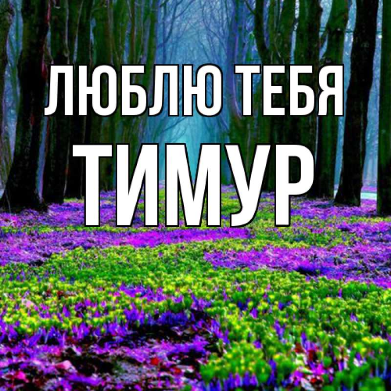 Открытка с именем, Тимур, Люблю тебя