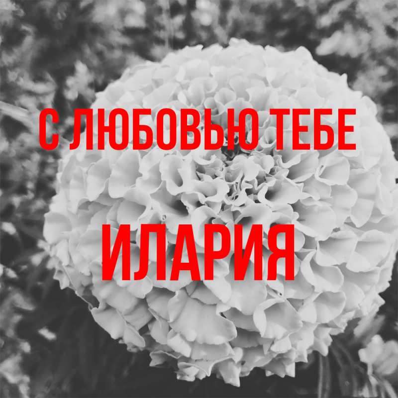 Картинка С любовью тебе, Илария