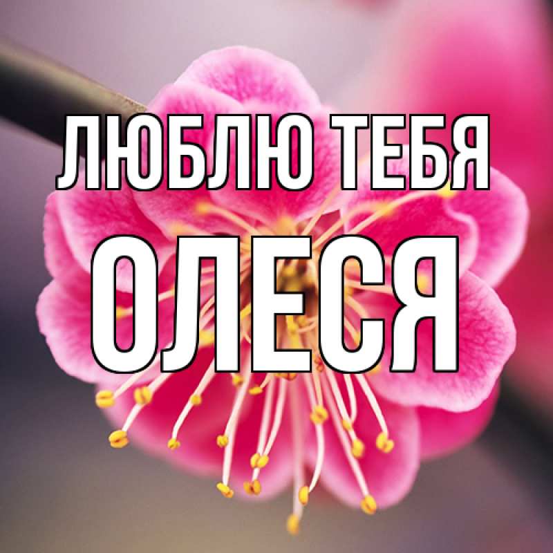 Открытка с именем, Олеся, Люблю тебя