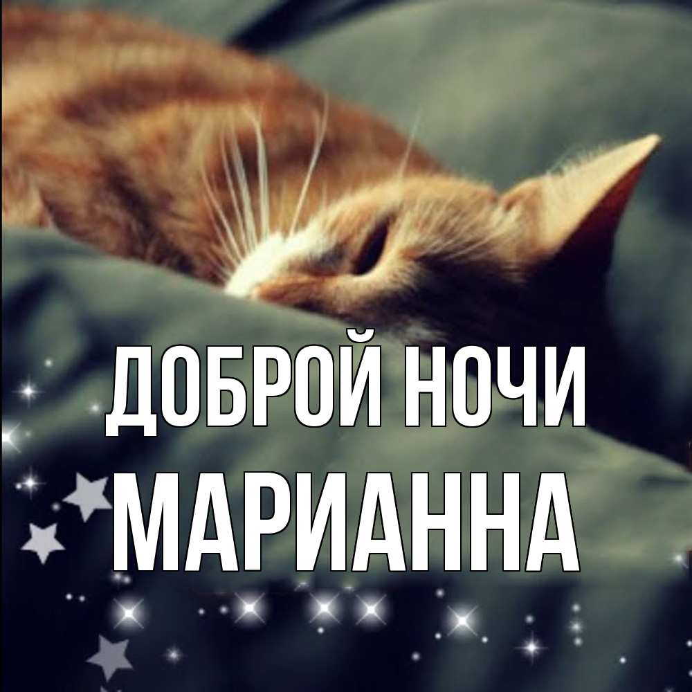 Открытка на каждый день с именем, Марианна Доброй ночи кроватка Прикольная открытка с пожеланием онлайн скачать бесплатно 