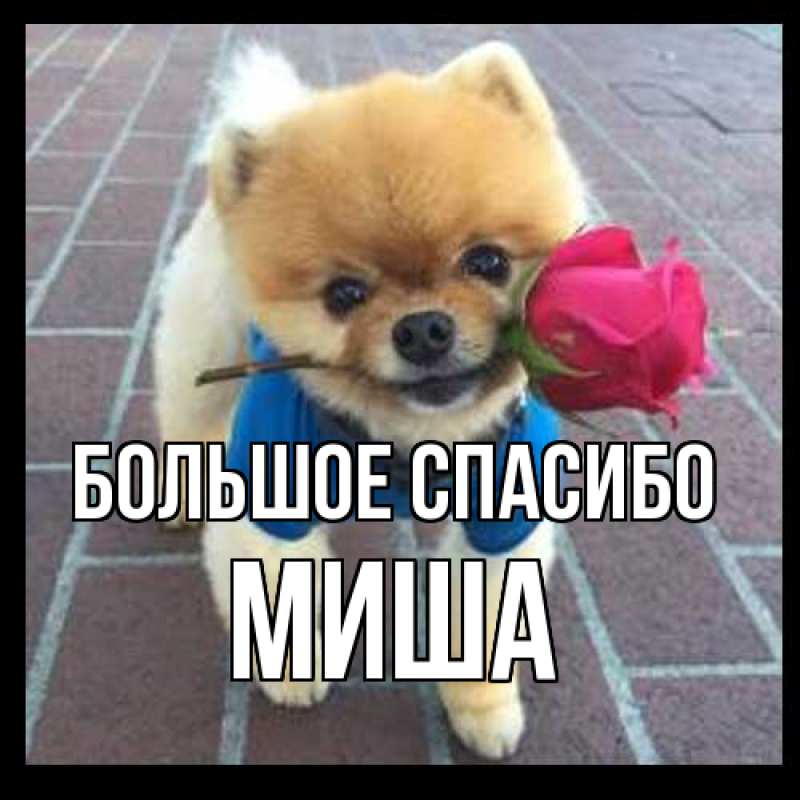 Открытка с именем, Миша, Большое спасибо